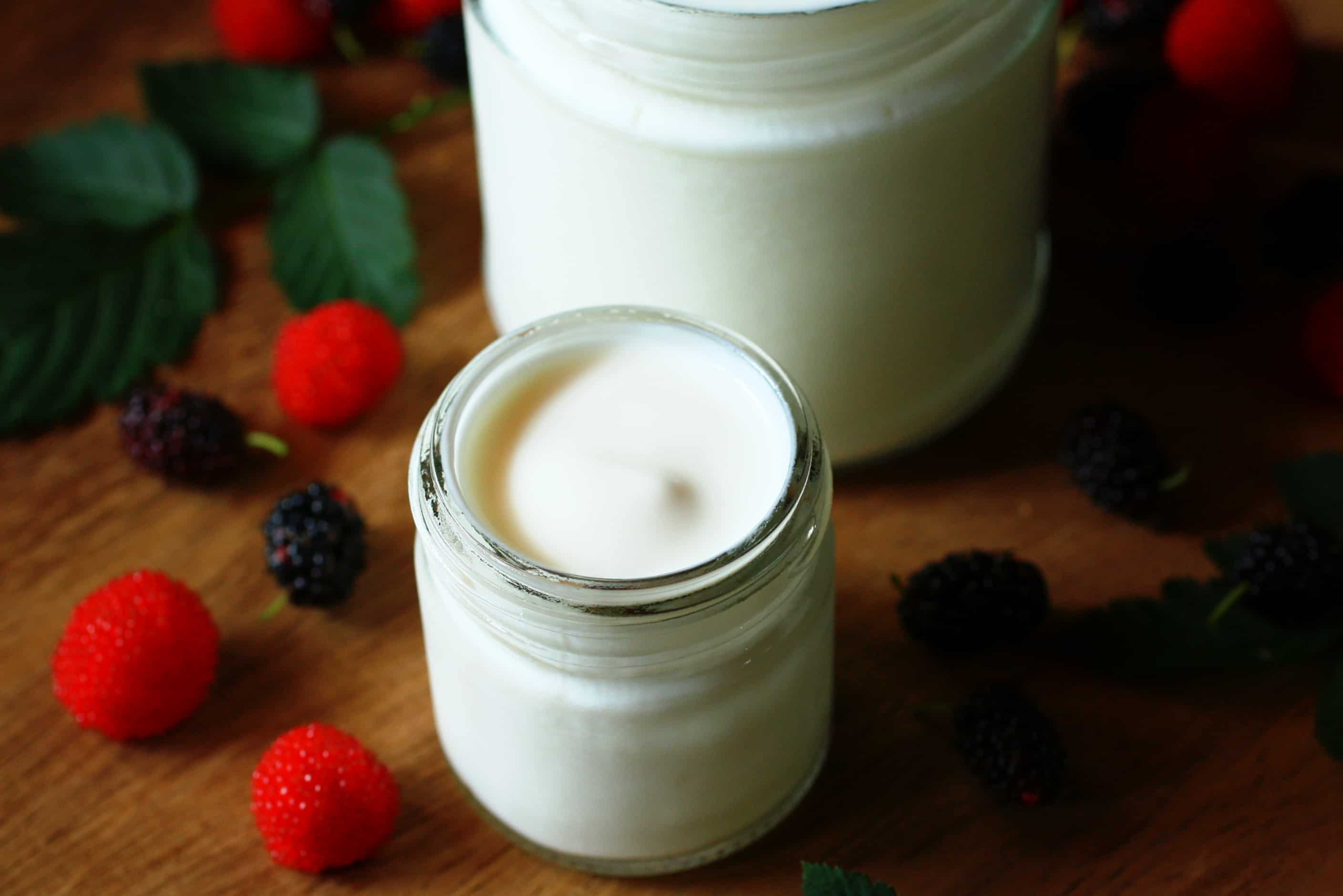 Cómo Hacer Yogurt Casero, Firme y Cremoso Chipa by the Dozen