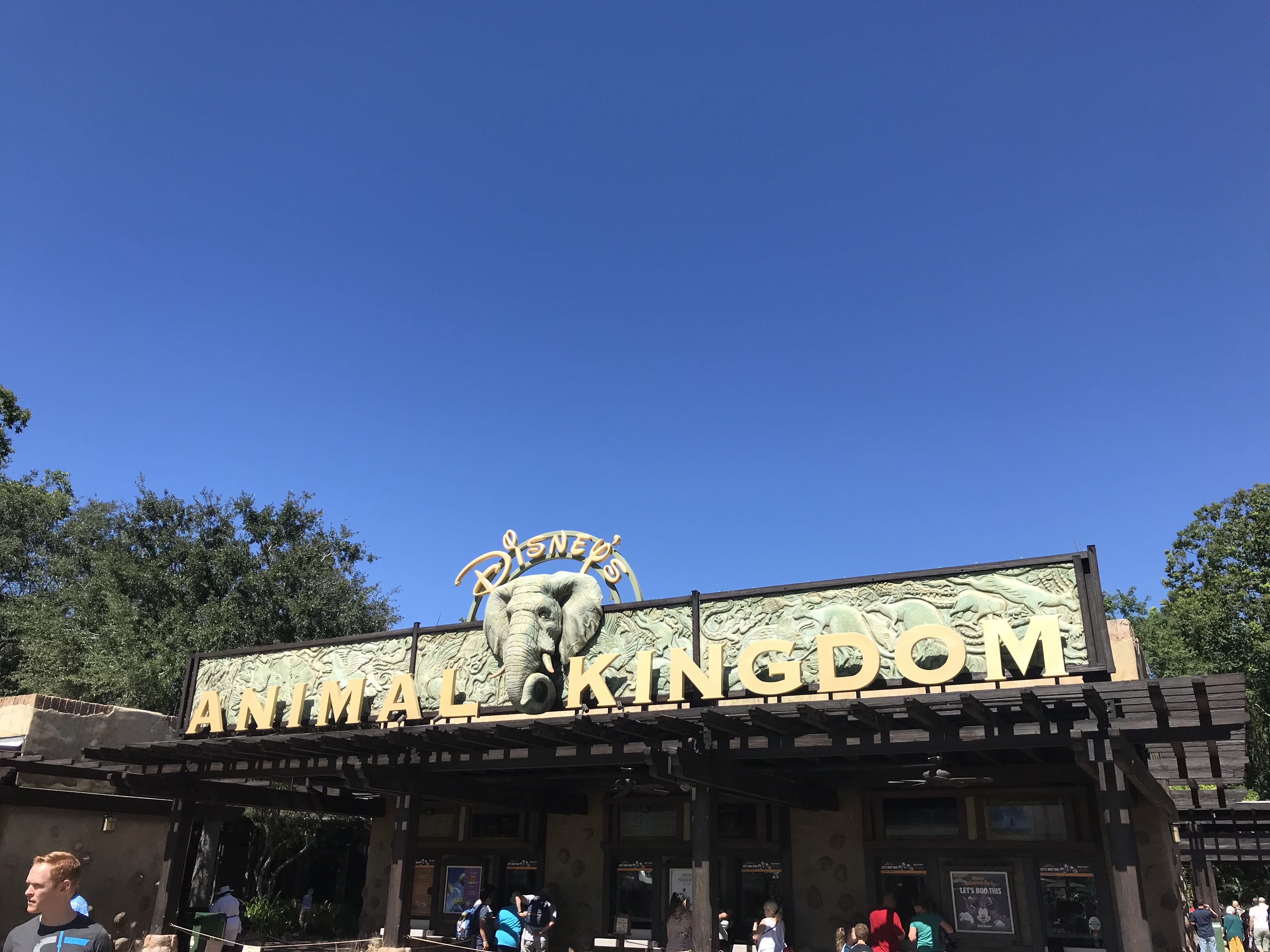 Animal Kingdom Reducing Hours For Attractions Within the Park Chip