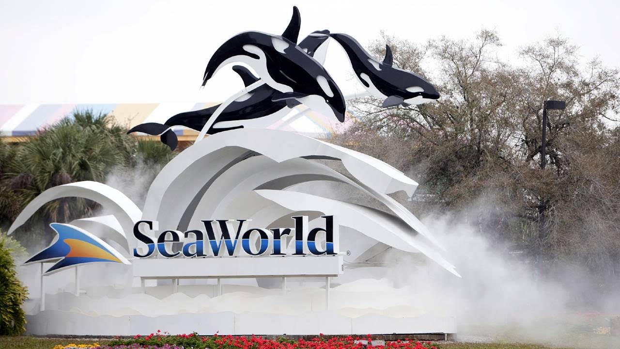 First Responders Half-Off Admission To Seaworld Orlando, San Antonio And San Diego | Chip And Company
