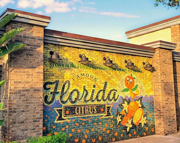 New Orange Bird Wall Spotted at Disney Springs in Walt Disney World