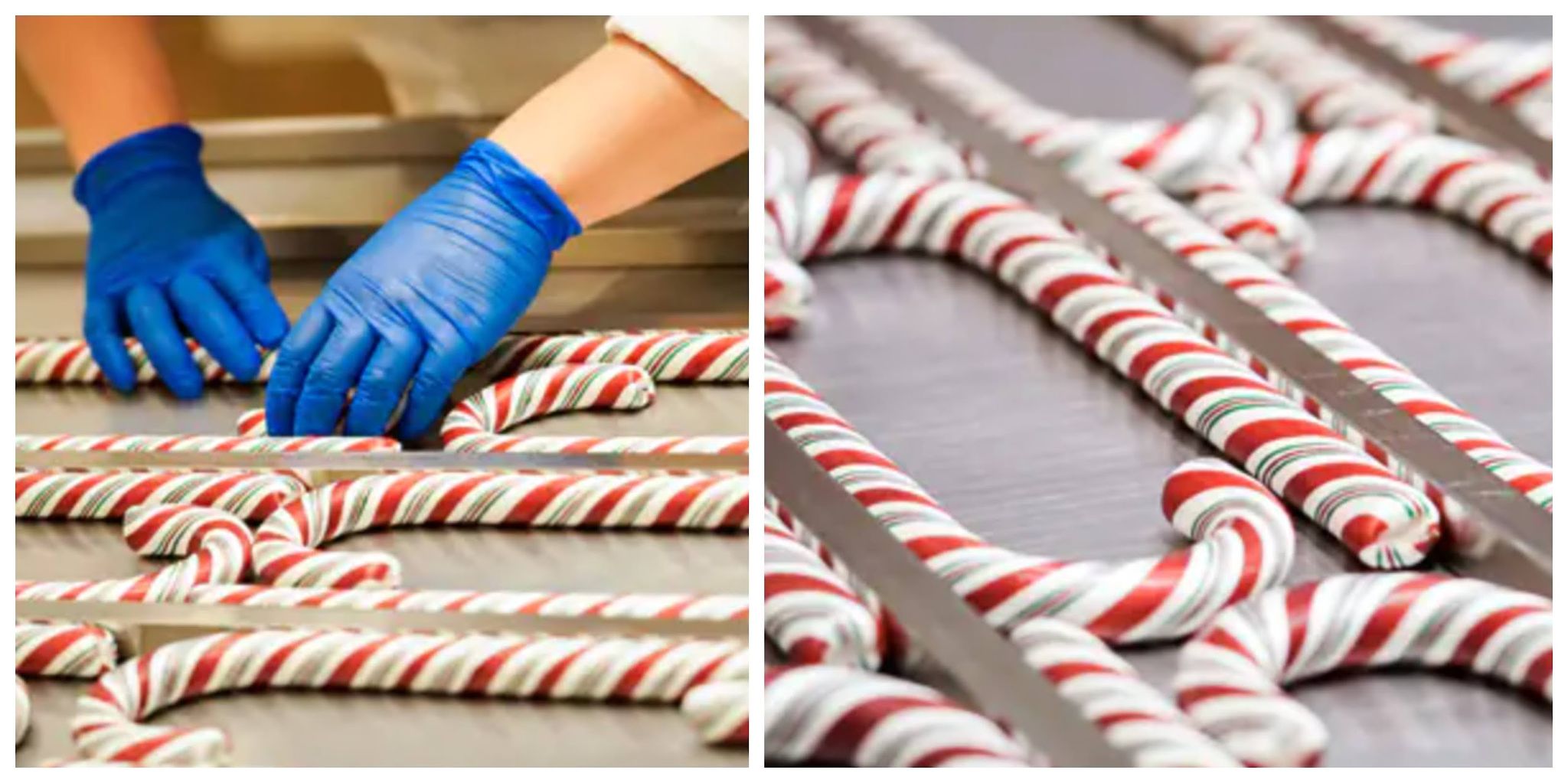 How to get the FanFavorite Candy Canes in Disneyland! Chip and Company