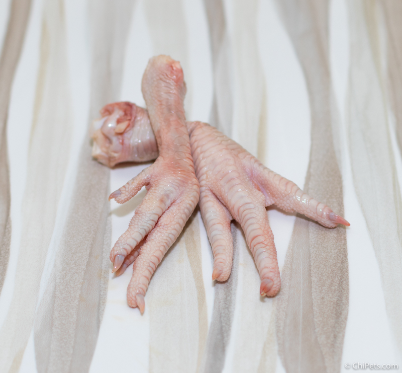 Dehydrated Chicken Feet {DIY Dog Treat Recipe} Chi Pets