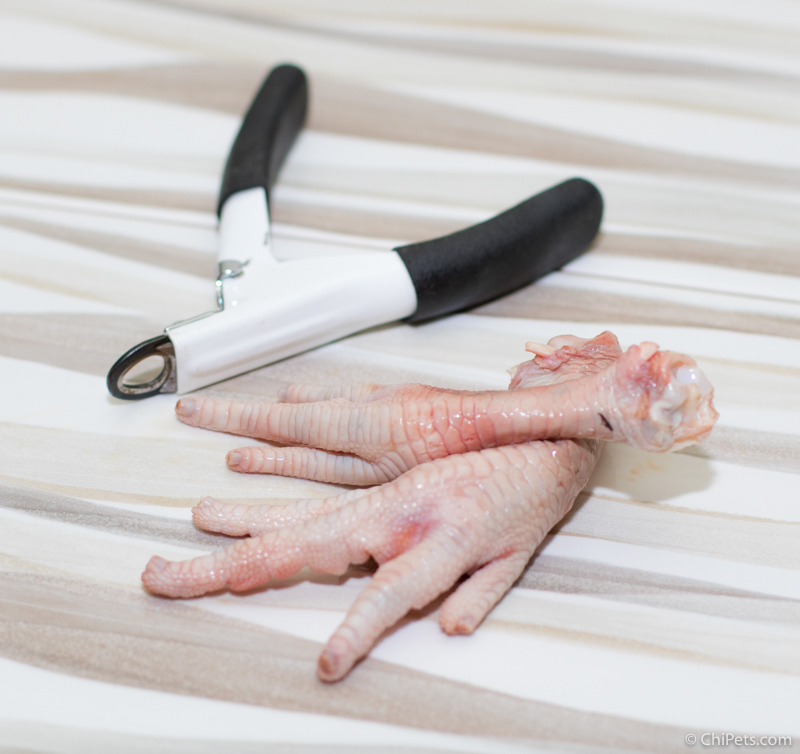 Dehydrated Chicken Feet {DIY Dog Treat Recipe} Chi Pets