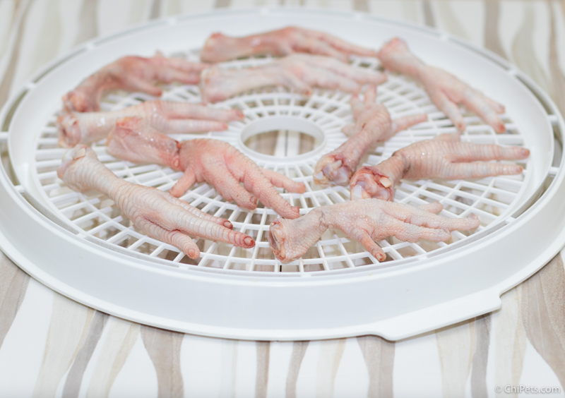 Dehydrated Chicken Feet {DIY Dog Treat Recipe} Chi Pets