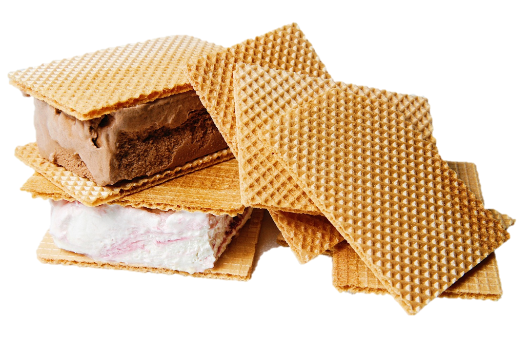 Wafer Biscuit Chip Guan Heng