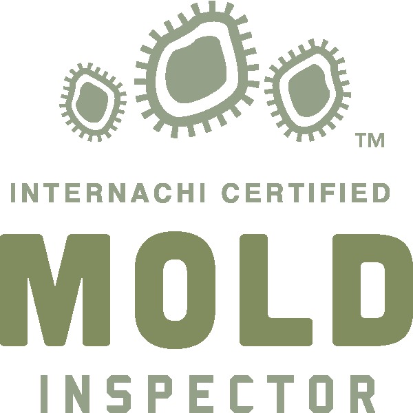 MoldInspector1 Denver Home Inspections