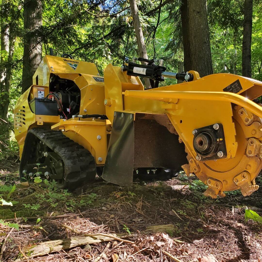 Best Brush Chipping & Stump Grinding Services in