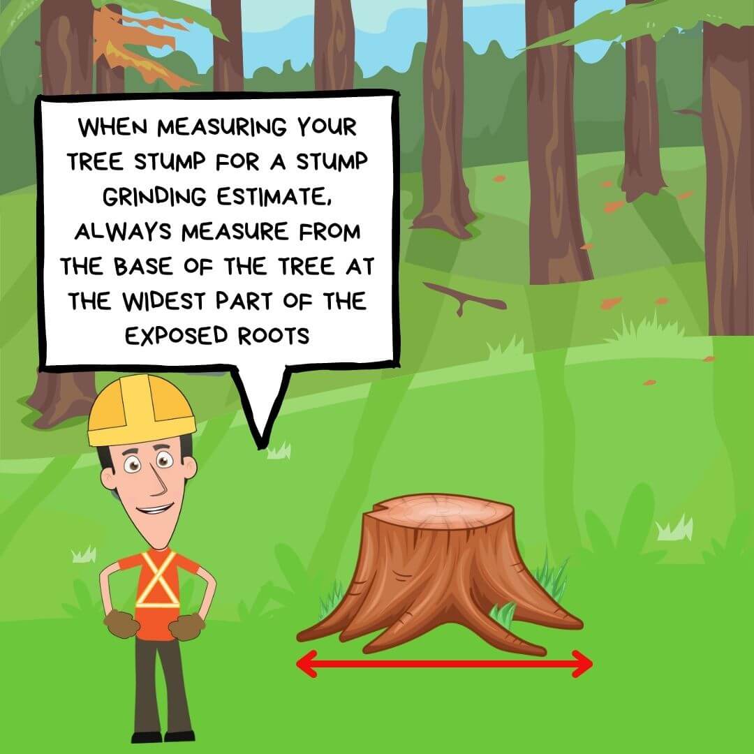 Stump Removal Cost Calculator Chip It Guy Halton Region