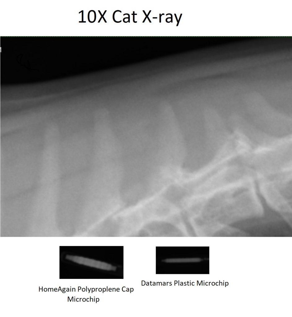 Pet Microchip Information Protect Pets from Microchip Pain, Illness, Exploitation