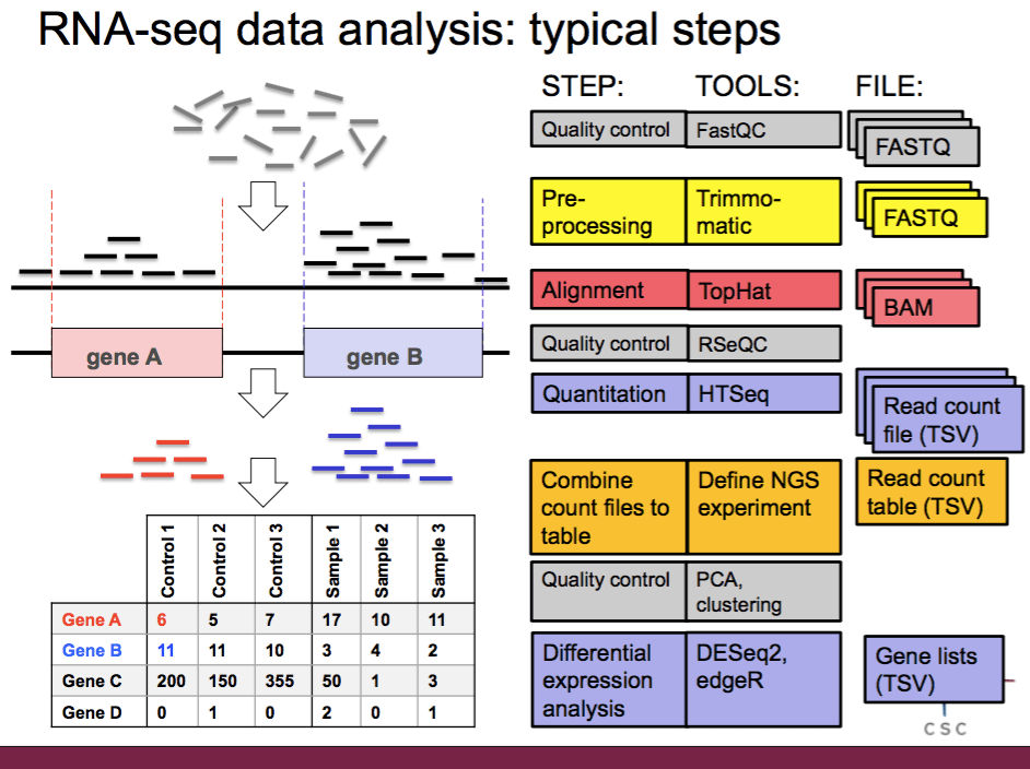 RNAseq data analysis to find differentially expressed genes