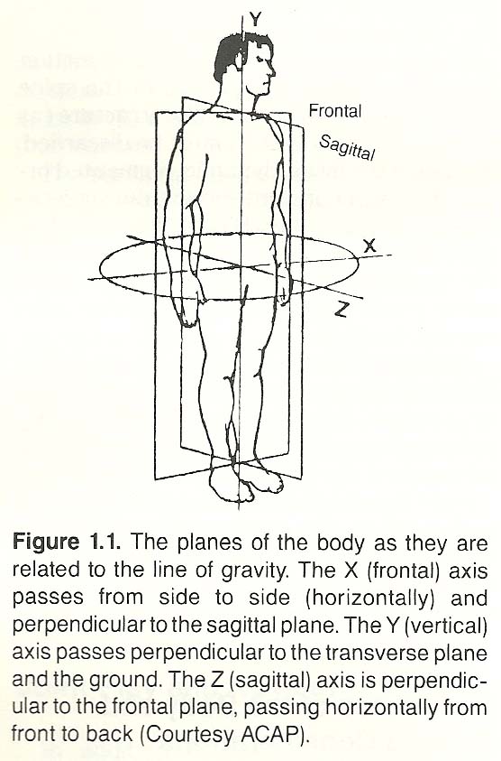 The Planes of the Body and Related Considerations