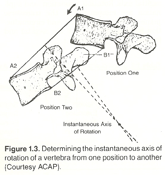The Instantaneous Axis of Rotation