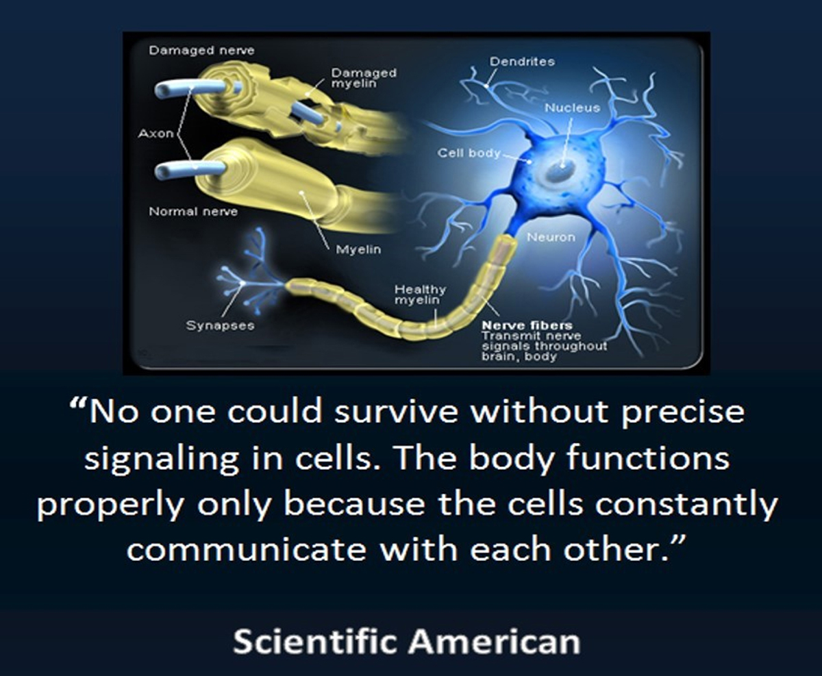 spinal manipulation has been an effective intervention for the management