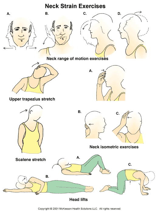 Neck Stretches