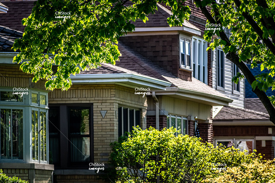 Row of Bungalow Homes on a TreeLined Side Street in Portage Park