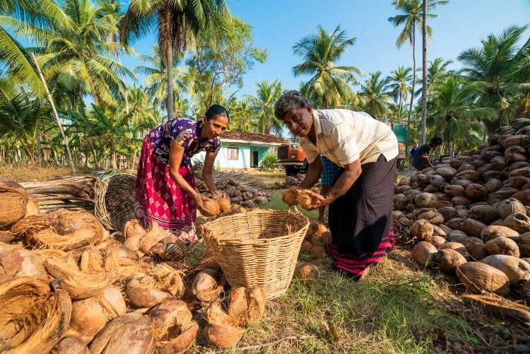 COMMUNITY Coco House (Pvt) Ltd Organic Coconut & Coco Peat Products