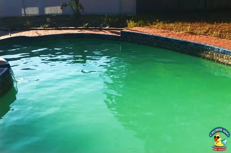 Green Pool Services Chlorine King Pool Service Seminole, Florida