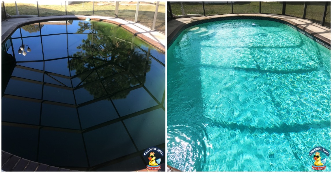 Green Pool Services Chlorine King Pool Service Seminole, Florida