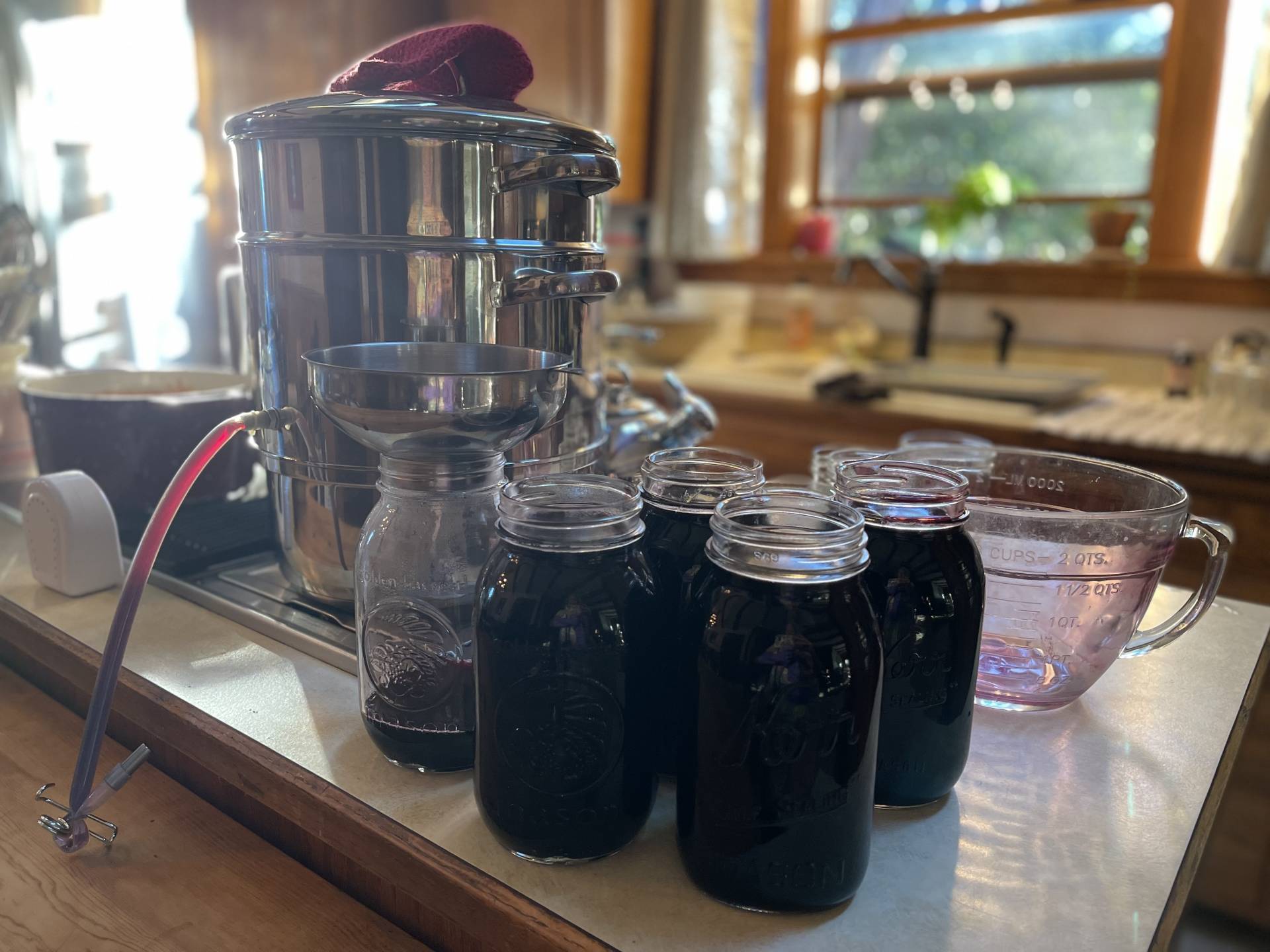 How to Use a Steam Juicer | Make Your Own Elderberry Juice with Fresh
