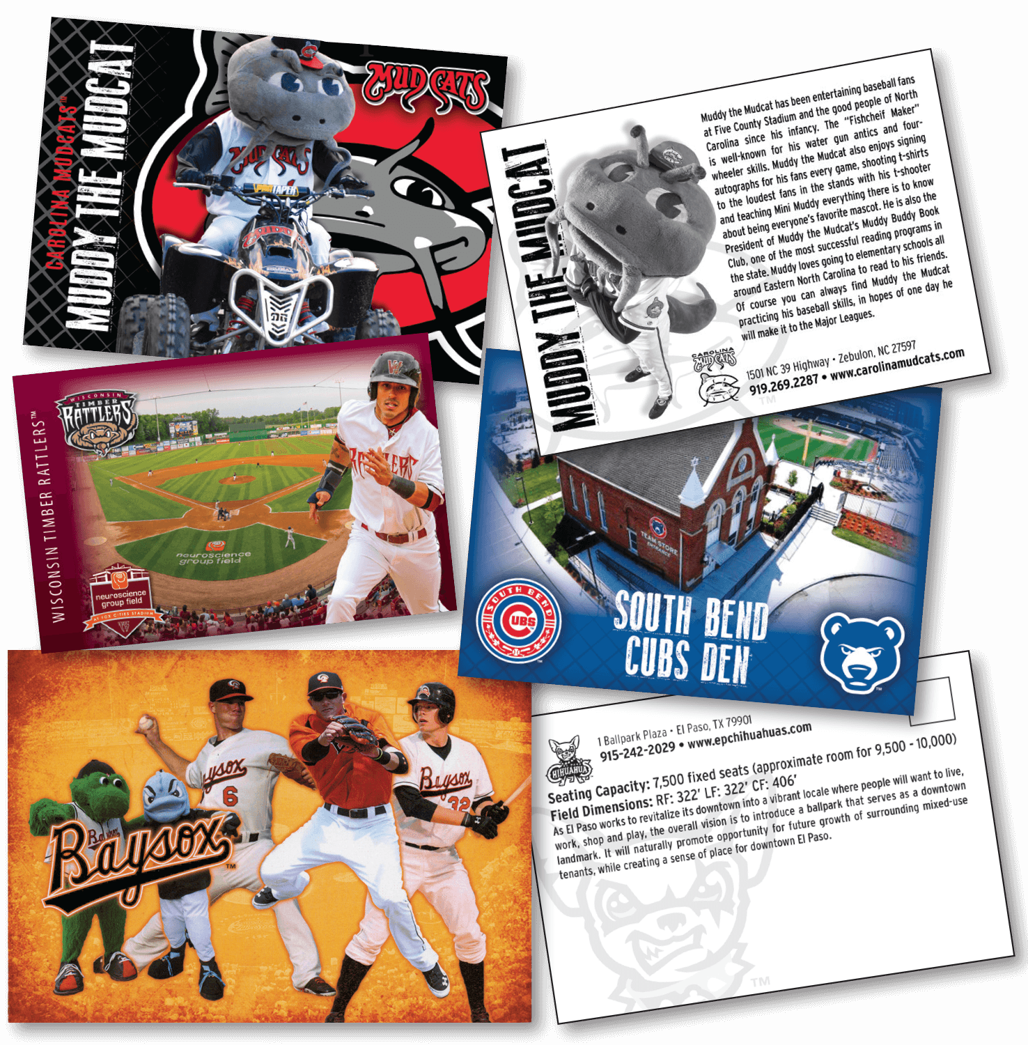 Sports & Trading Cards Choice SportsCards