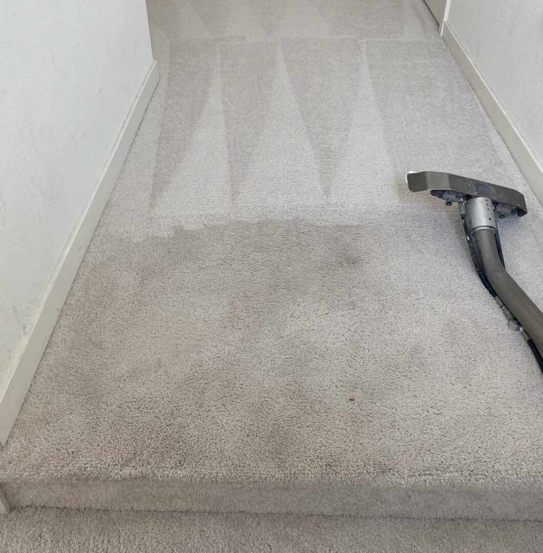 TopNotch Cleaning Services Choice Carpet Cleaning