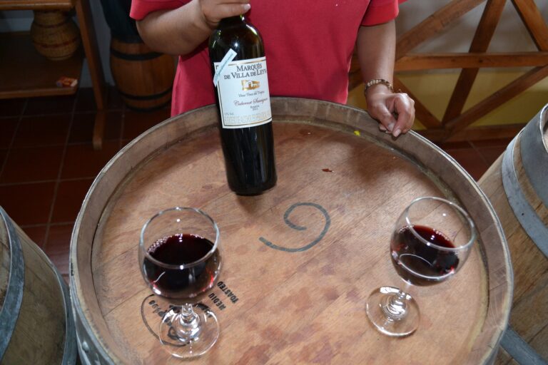 How to Serve and Store Sauvignon Choice Wineries