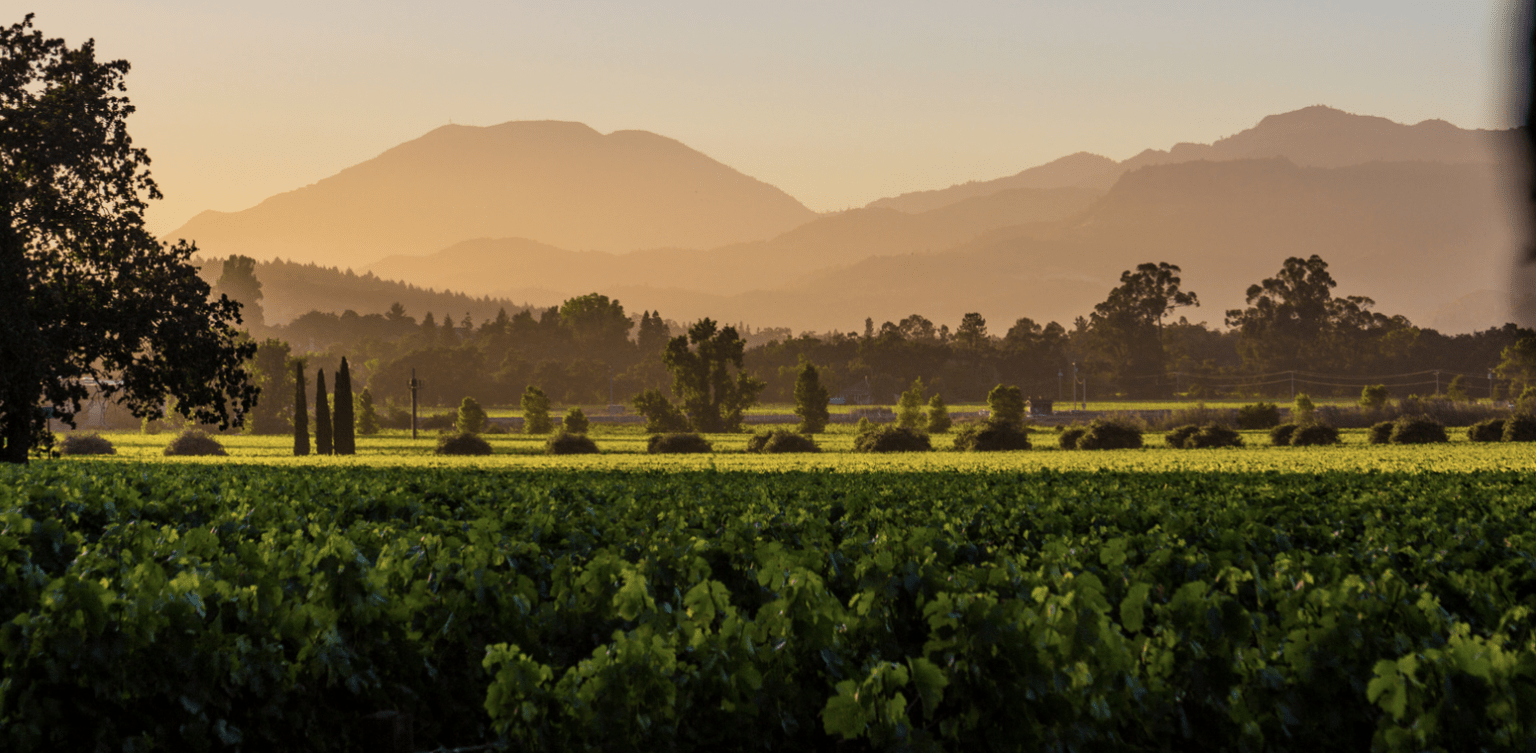The 10 Best Wineries in California to Visit Choice Wineries