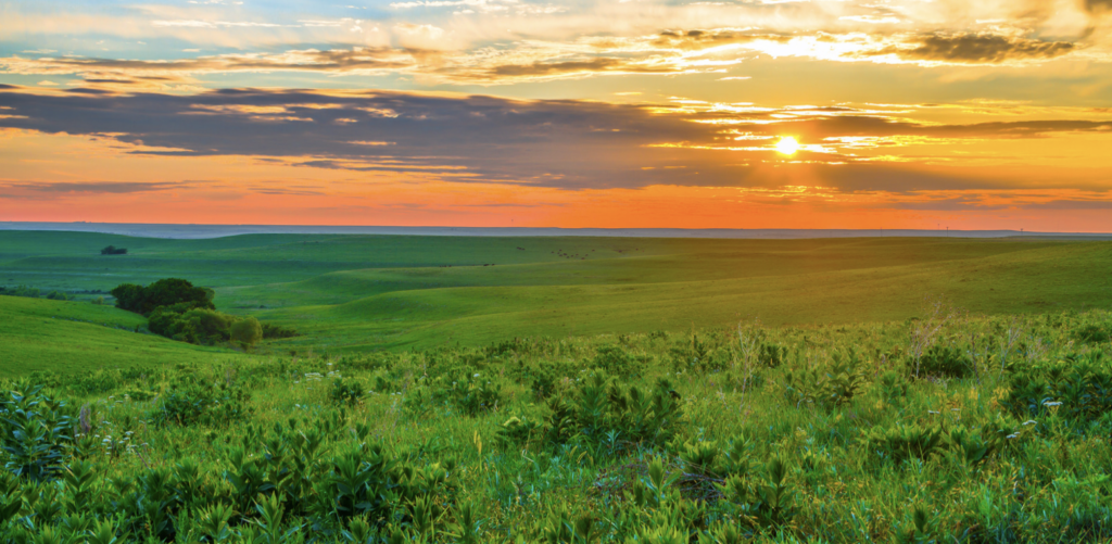 The 10 Best Wineries in Kansas to Visit Choice Wineries