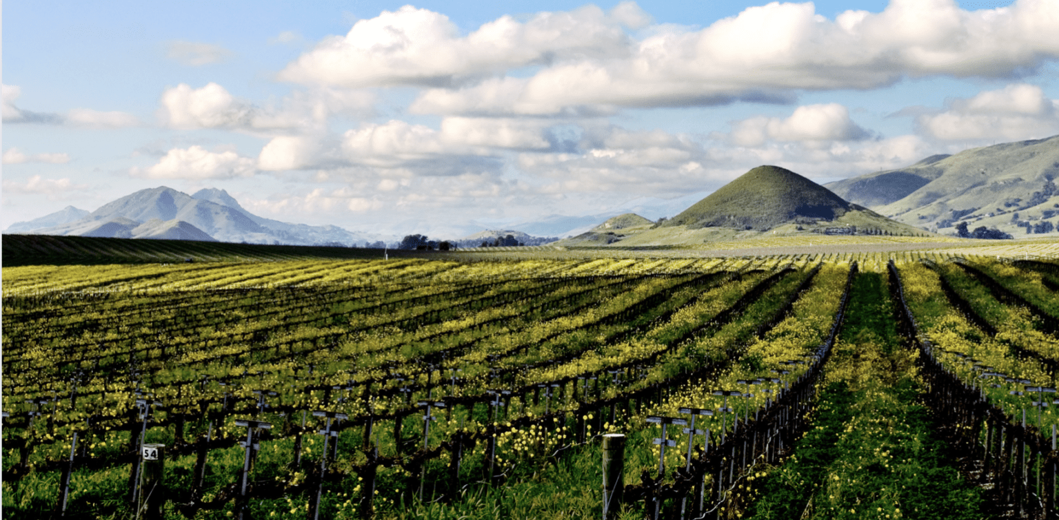 The 10 Best Wineries in Edna Valley to Visit Choice Wineries