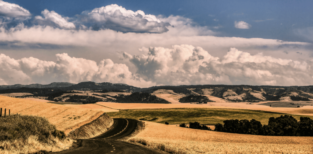 The 10 Best Walla Walla Wineries to Visit Choice Wineries