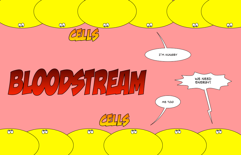 A Simple Guide to Cholesterol on Low Carb Part I Cholesterol Code