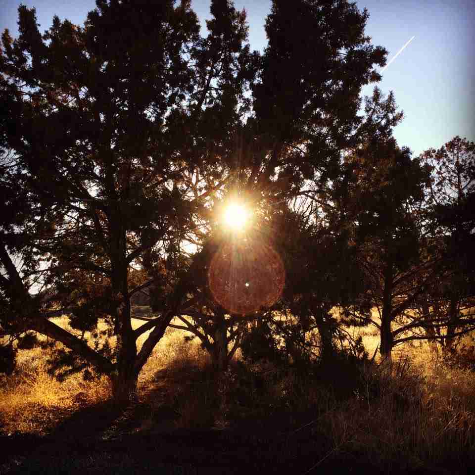 Animas Valley Village Choose Tiny