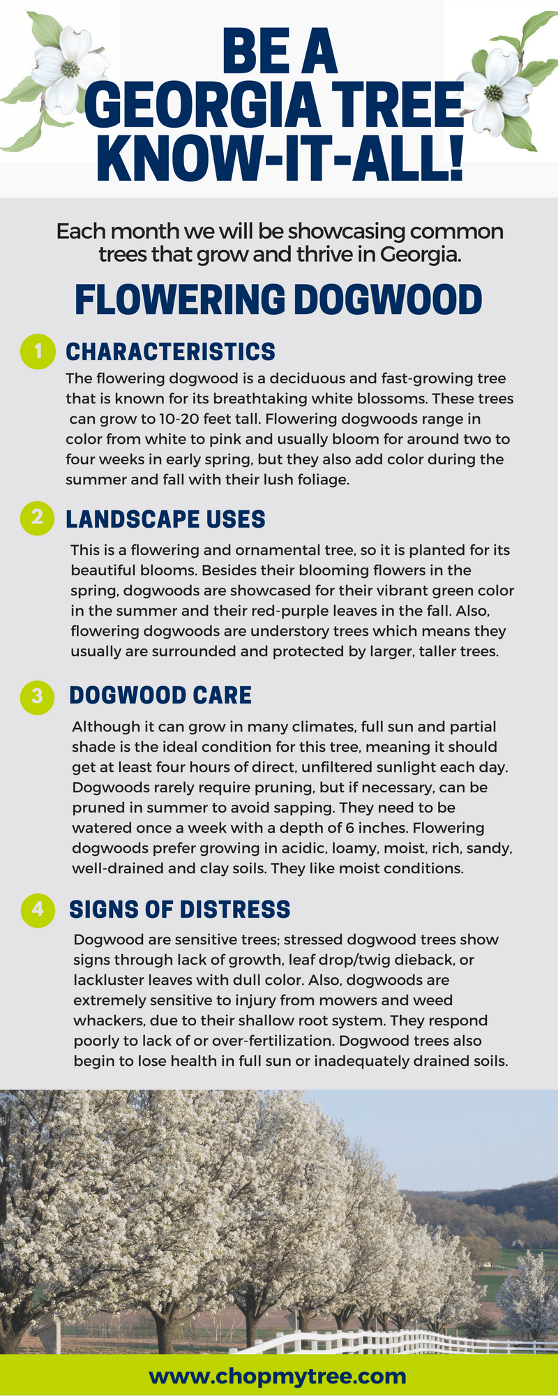 BE A TREE KNOWITALL FLOWERING DOGWOOD Premier Tree Solutions