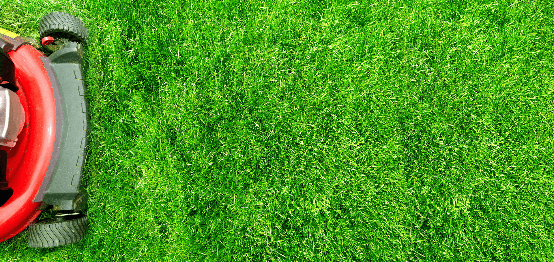 How Often Should You Mow Your Lawn? Chorbie Home Services
