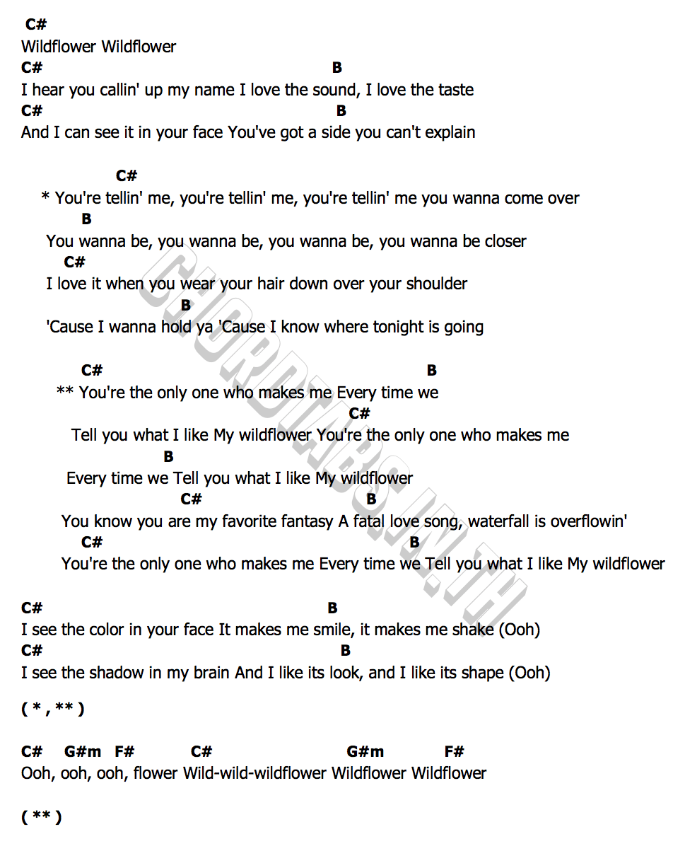 Wildflowerคอร์ดอูคูเลเล่ คอร์ดอูคูเลเล่ Wildflower 5 Seconds Of Summer