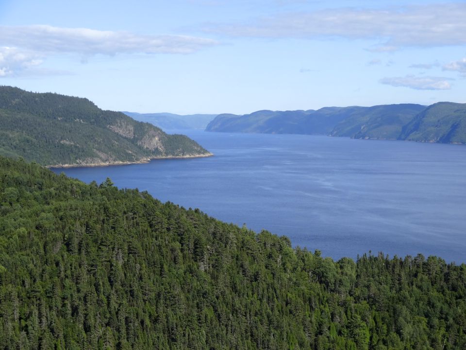 VISITER LE FJORD DU SAGUENAY CROISIERE, RANDONNEE ET KAYAK Chouette