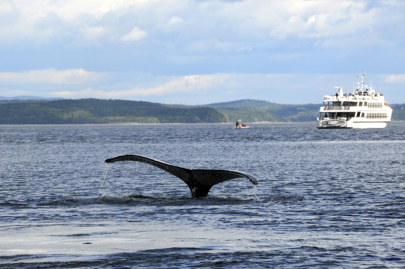 10 CHOSES A FAIRE A TADOUSSAC Blog voyage Chouette World
