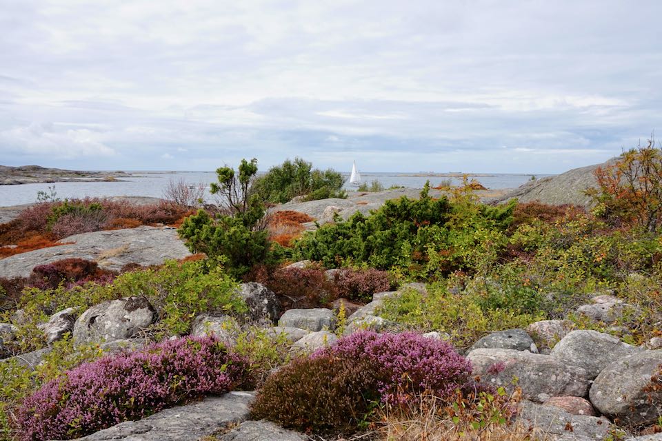 VISIT AND ITS ARCHIPELAGO