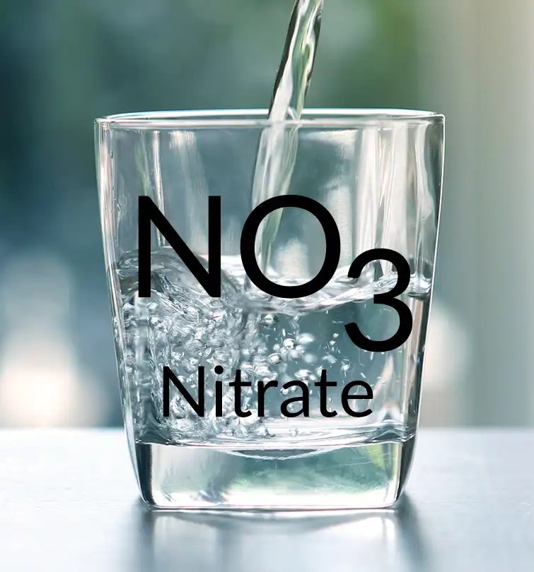 About Us Chowchilla Management Zone