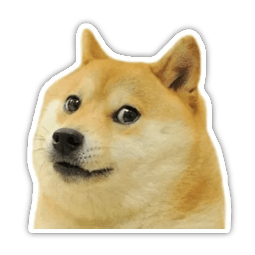 Telegram Sticker 🤪 from «Cute Dog» pack