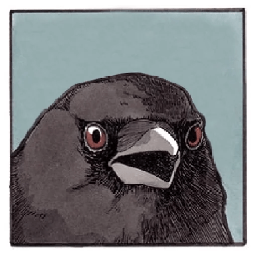 False Knees Telegram stickers