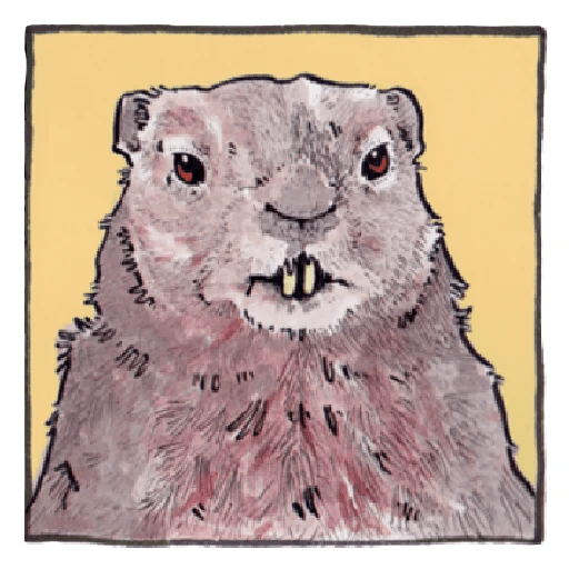 Telegram Sticker 😐 from «False Knees» pack