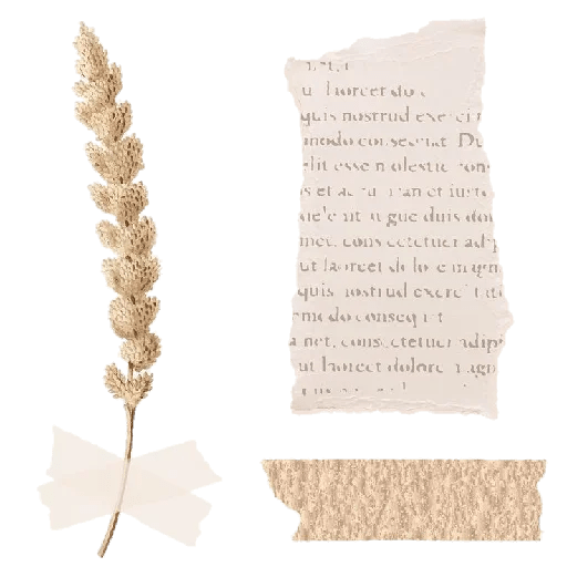 Telegram Sticker 🍃 from «Separadores_Aesthetic» pack