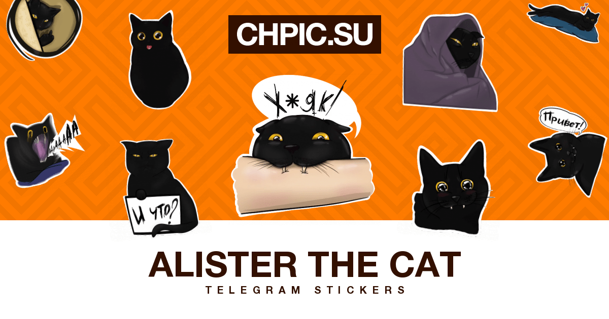 Alister the cat Telegram stickers