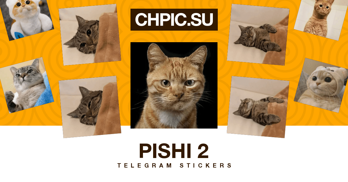 30 Telegram Sticker 🐈 from «Pishi 2» pack