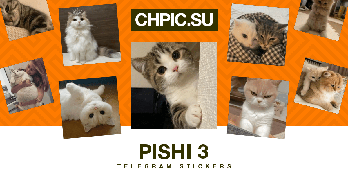 Pishi 3 Telegram stickers