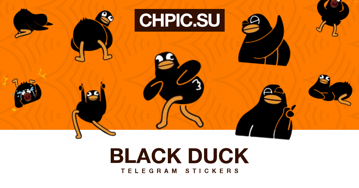 3 Telegram Sticker 👍 from «Black Duck» pack