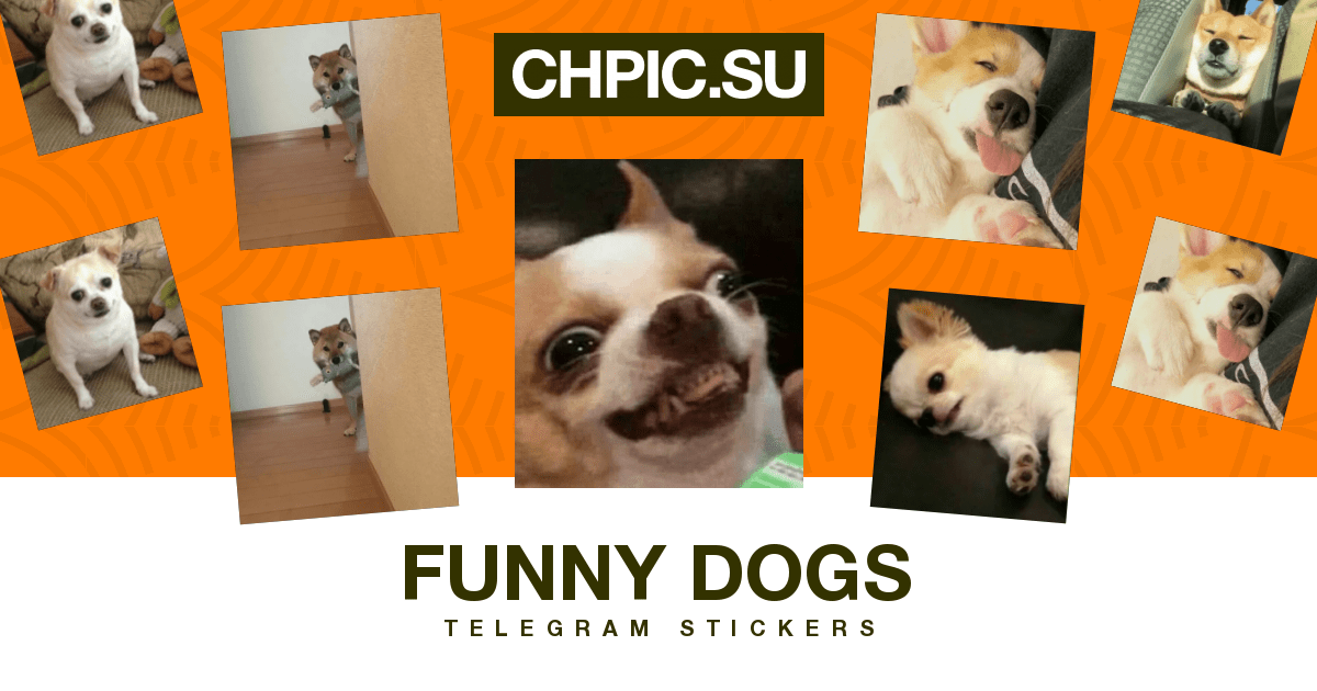 Telegram Sticker 😋 from «Funny Dogs» pack