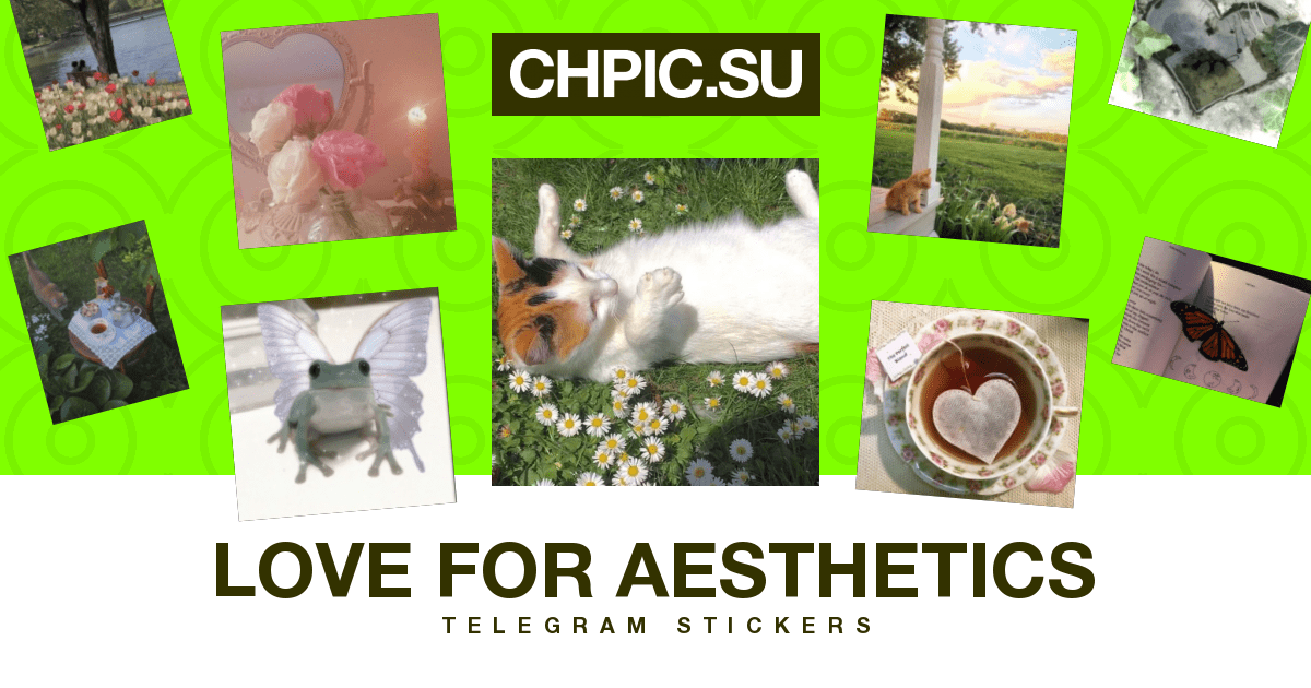Telegram Sticker 🌟 from «love for aesthetics» pack