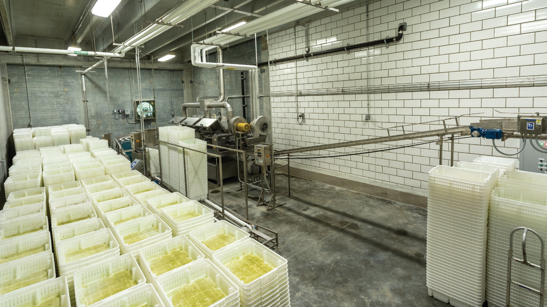 Sanderson Farms Hatchery Chris Albritton Construction